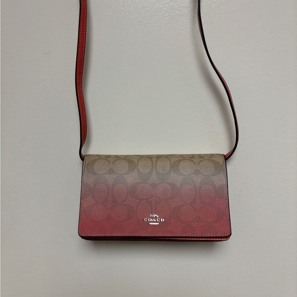 Coach Signature Hayden Crossbody/Clutch